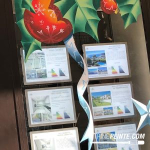 Décoration Noël responsable pour entreprise : décor feuilles de houx geantes peints à la main