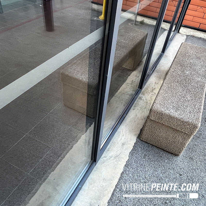 Nettoyage professionnel de façade vitrée et entrée de centre commercial à Cap 3000, Polygone Riviera